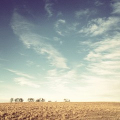 Saturday Night Train