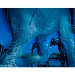 Musa Perdida (J Dilla-In Space)