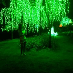 小情歌 苏打绿 （cover By Peggy）