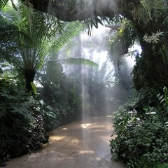 When Nature Sighs  @ 432Hz