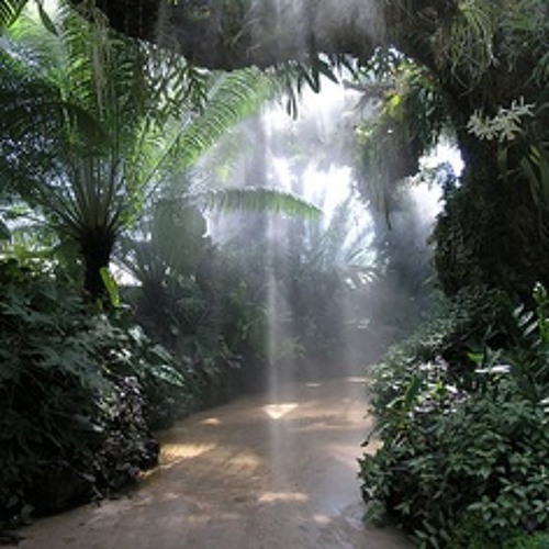 When Nature Sighs  @ 432Hz