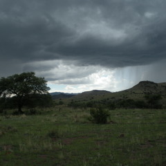 Rhythm of the Night (Corona Cover)