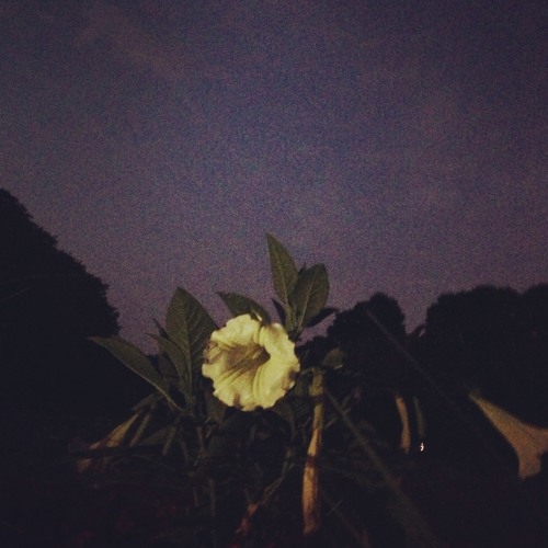 Spiralling (home demo)