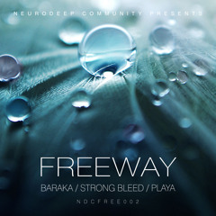 FreeWay - Playa