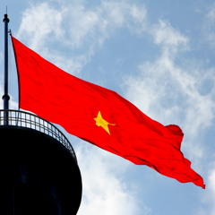 VietNam Oi