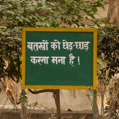 हौज खास गांव की लीला