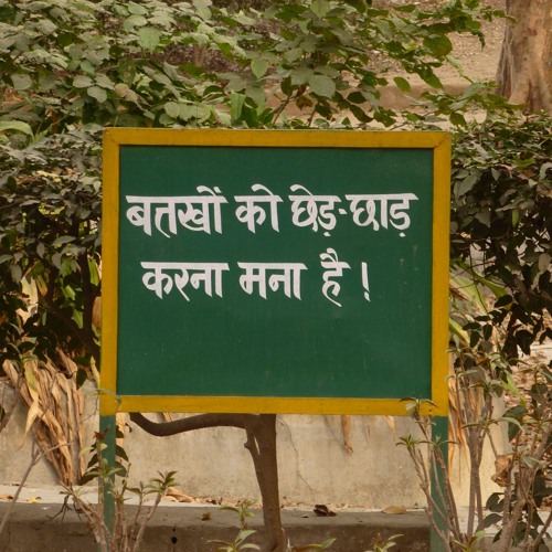 हौज खास गांव की लीला