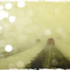 Follow the Lights