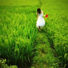 Tìm lối an nhiên - Đức Tuấn
