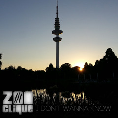 Mario Winans - I Don't Wanna Know (Zoo#Clique Edit)