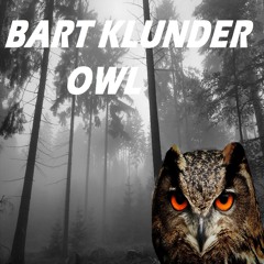 Bart Klunder - OWL