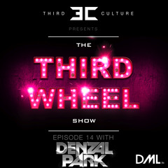The Third Wheel Show - Episode 14 (With Denzal Park)