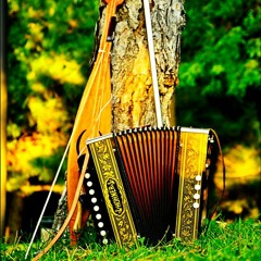 muziklerim