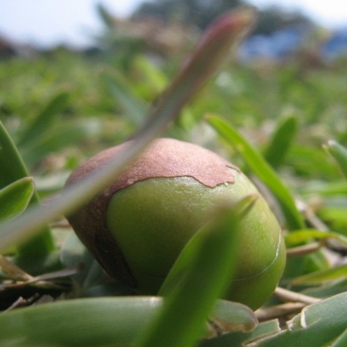 Pequeño Viaje Nocturno (parte I)