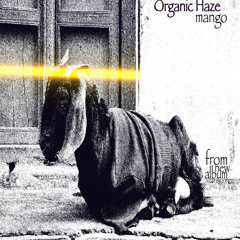 Organic Haze - Mango (from new album)