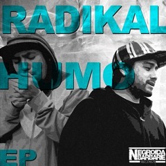 Makina Sistematika - Radikal + DJ Mat (2013)