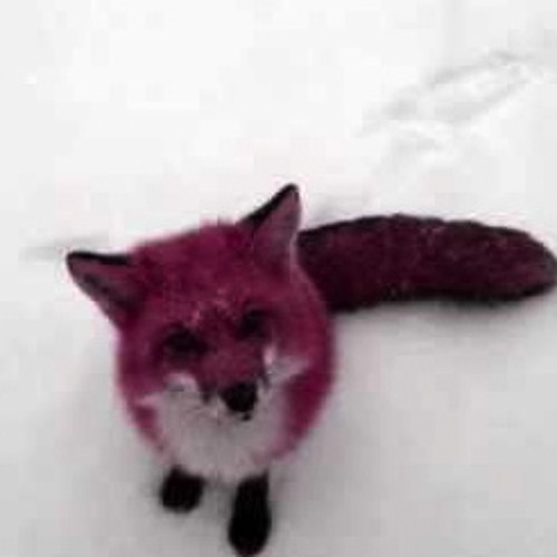 Nicolas Jaar ++++ Episode 33 Part 2