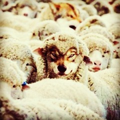 Money, Power, Respect Verse