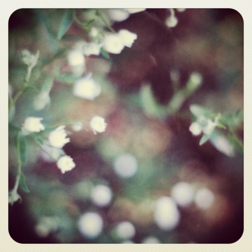 And When I Rise