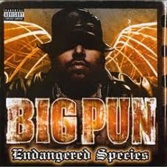 BIGPUN - Firewater ft Raekwon & Fat Joe BY SEVARG HEADCRACK300ent.