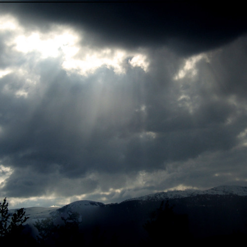 SOULLES CREATURE 02_SOLID VIBRATIONS