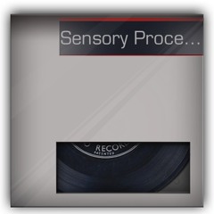 Silverlage-Sensory Processing Disorder-Beat Box
