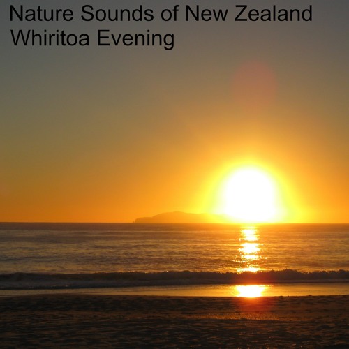 Whiritoa Evening
