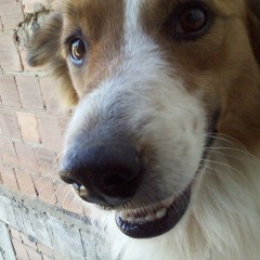 Patricia Marx & Filiph Neo - Cedo ou tarde (Maykoolmix)