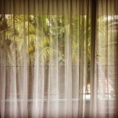 Roxanne Roll - Disco Pacifico Mix