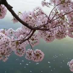 و اتركْ خلفڪ أثرٌ جميـل ♡