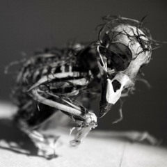 You're Definitely Dead