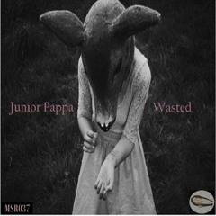 Junior Pappa - Wasted (Original Mix)