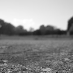 Nonorder Lab - Blurred Paths
