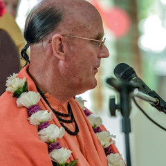 HH Indradyumna Swami / Never Say Never
