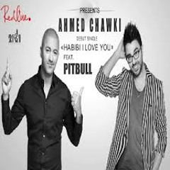 Habibi I Love You Ft. Pitbull {Remix Naoufel Original 2}