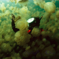 Tyler_Foms - unfortable