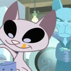 BEAT - SR GATO (OCUPADO)