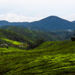 DJ Max - Northern Highlands (10-20-13)