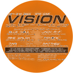 Vision 2 (Continuous)