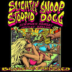Gz and Hustlas - Slightly Stoopid + Snoop Dogg Blazed and Confused Tour [2009]