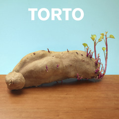 TORTO -  Tigre