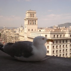 SoundScape - Poblenou(AndreasRauh and Pol Pla i Conesa)