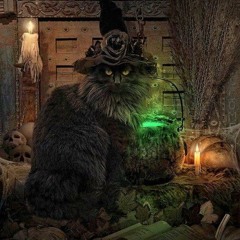 Season of the witch~ Nando van der Kuyp