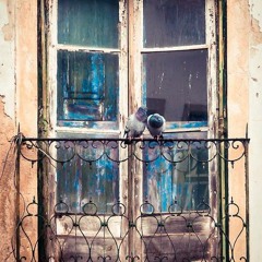 لا تعرف اسمي-كارول سماحة