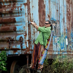 Hey Goose - Pitz Quattrone