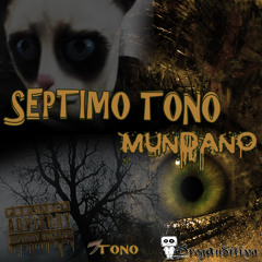 MOMENTOS(7SEPTIMO TONO))