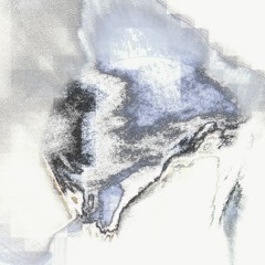 Passenger Pigeons - Wafternoon