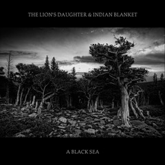 The Lion's Daughter & Indian Blanket: Wolves