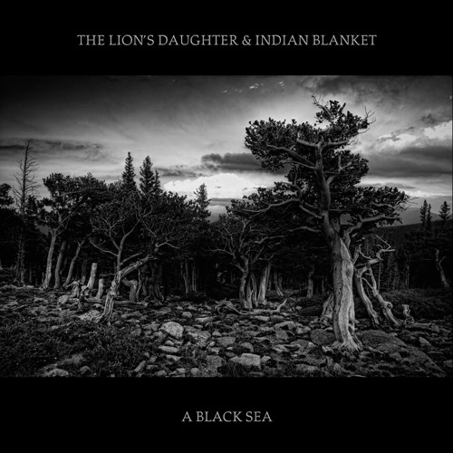 the-lions-daughter-indian-blanket-wolves