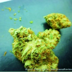 STRIP CLUB ANTHEM DPC